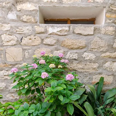 Sweet Nest Apartment